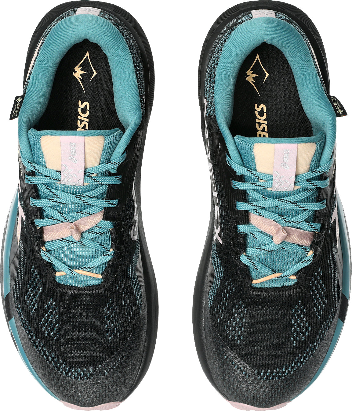 Asics Trabuco 14 GORE-TEX Women's Trail Running Shoes - Black