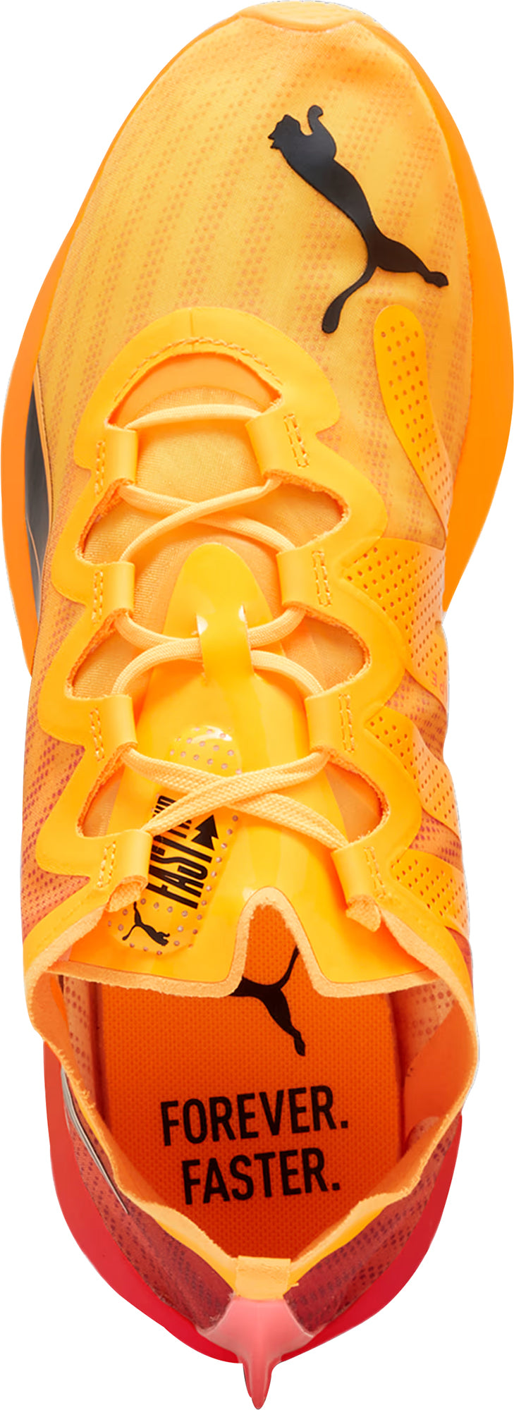 Puma Fast-FWD Nitro Elite Men's Running Shoes - Orange