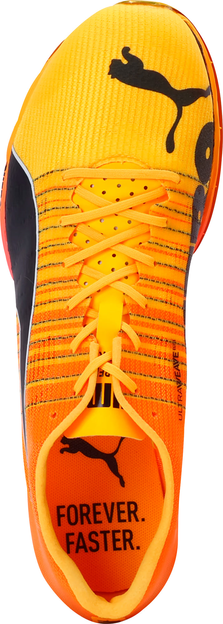 Puma evoSpeed Forte Nitro Elite Running Spikes - Orange