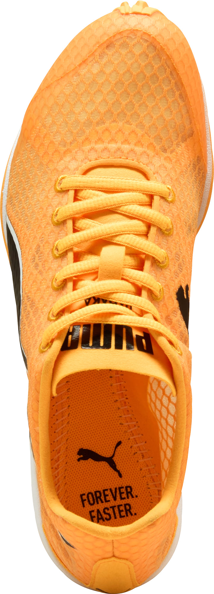Puma evoSpeed Haraka 8 Cross Country Spikes - Orange