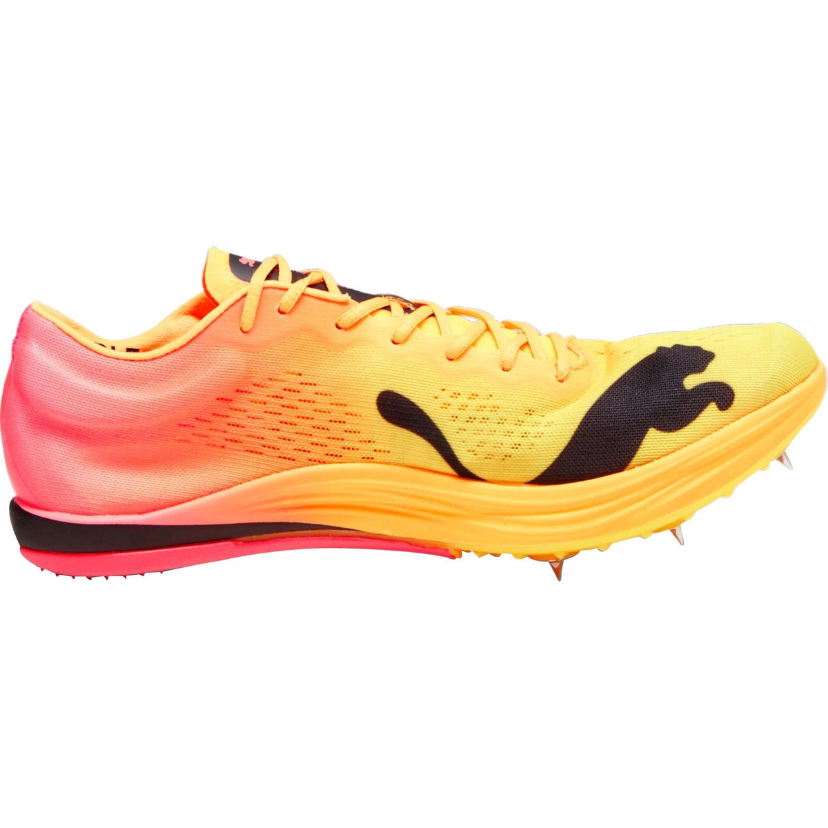 Puma evoSpeed Nitro Elite+ Long Distance Running Spikes - Orange