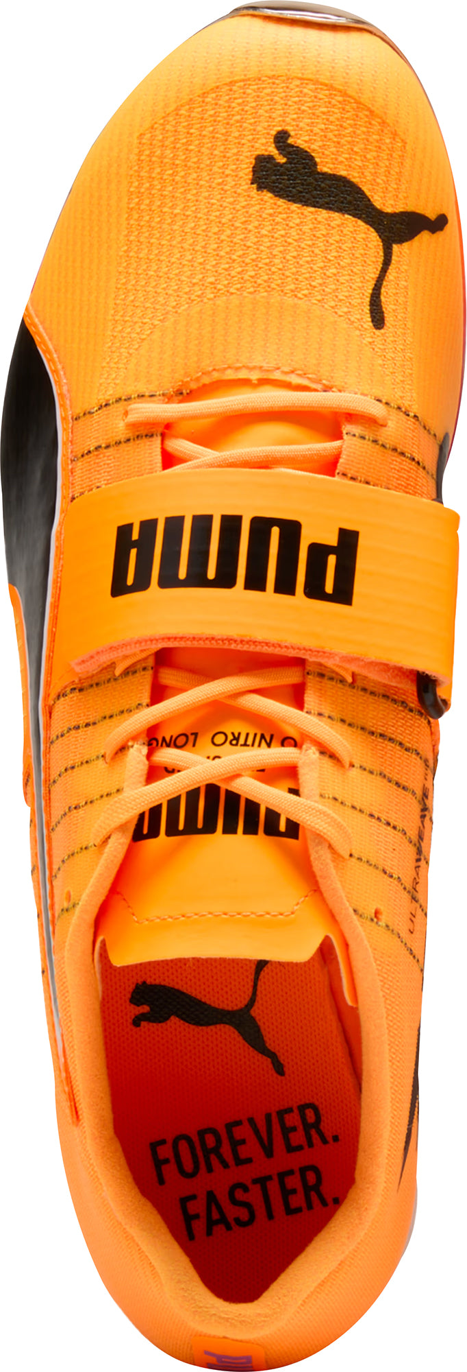 Puma evoSpeed Tokyo Nitro Long Jump Field Event Spikes - Orange
