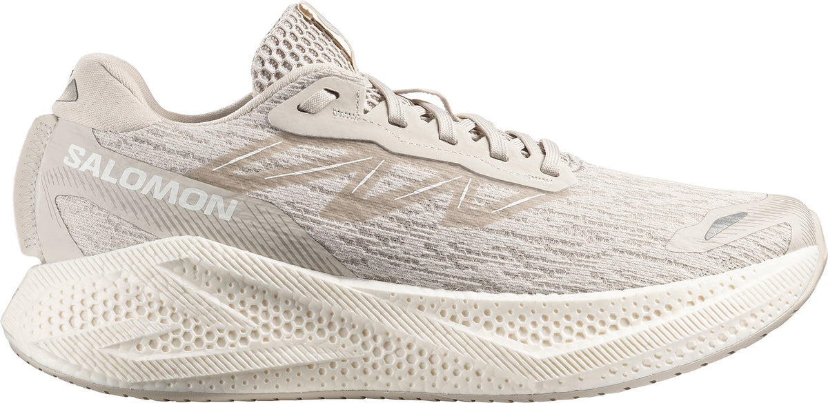 Salomon Aero Glide 4 Men's Running Shoes - Grey