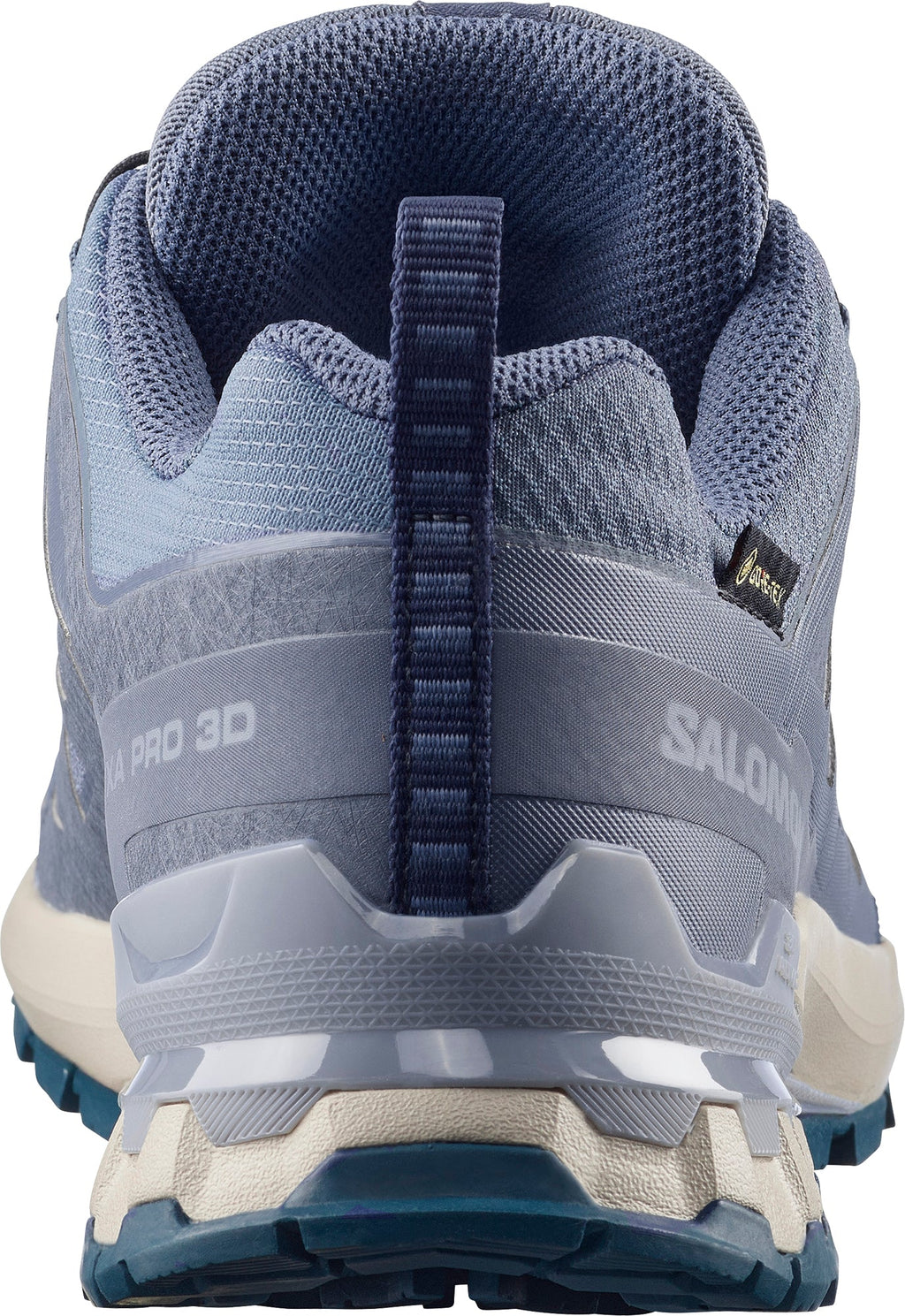 Salomon XA Pro 3D V9 GORE-TEX Women's Trail Running Shoes - Blue