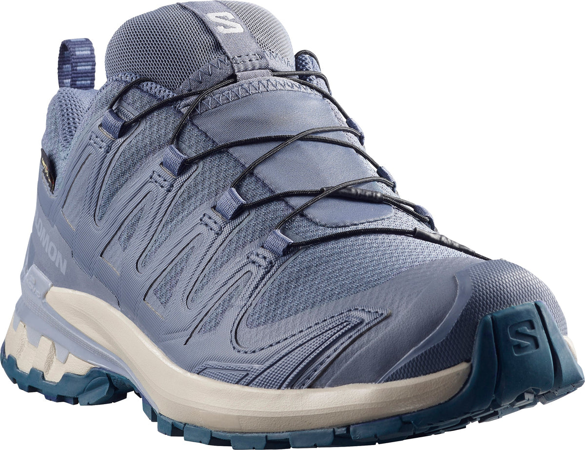 Salomon XA Pro 3D V9 GORE-TEX Women's Trail Running Shoes - Blue