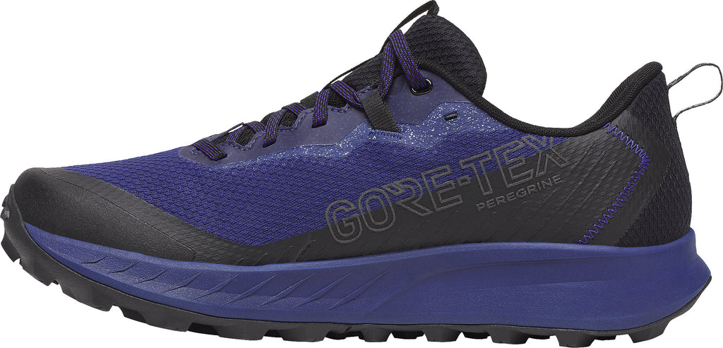 Saucony Peregrine 15 GORE-TEX Men's Trail Running Shoes - Blue