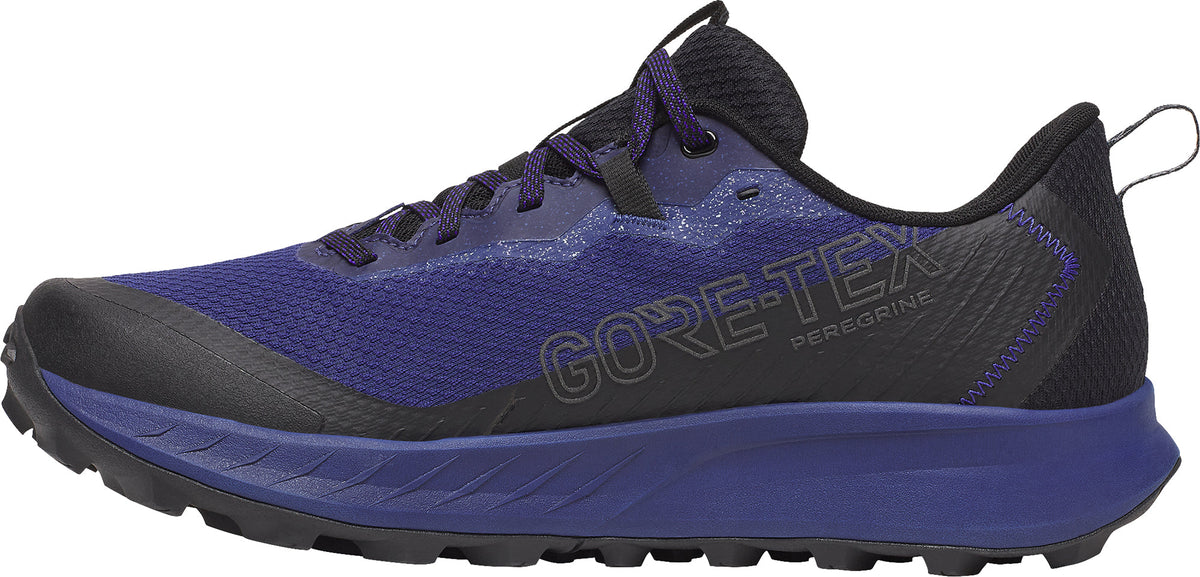 Saucony Peregrine 15 GORE-TEX Men's Trail Running Shoes - Blue