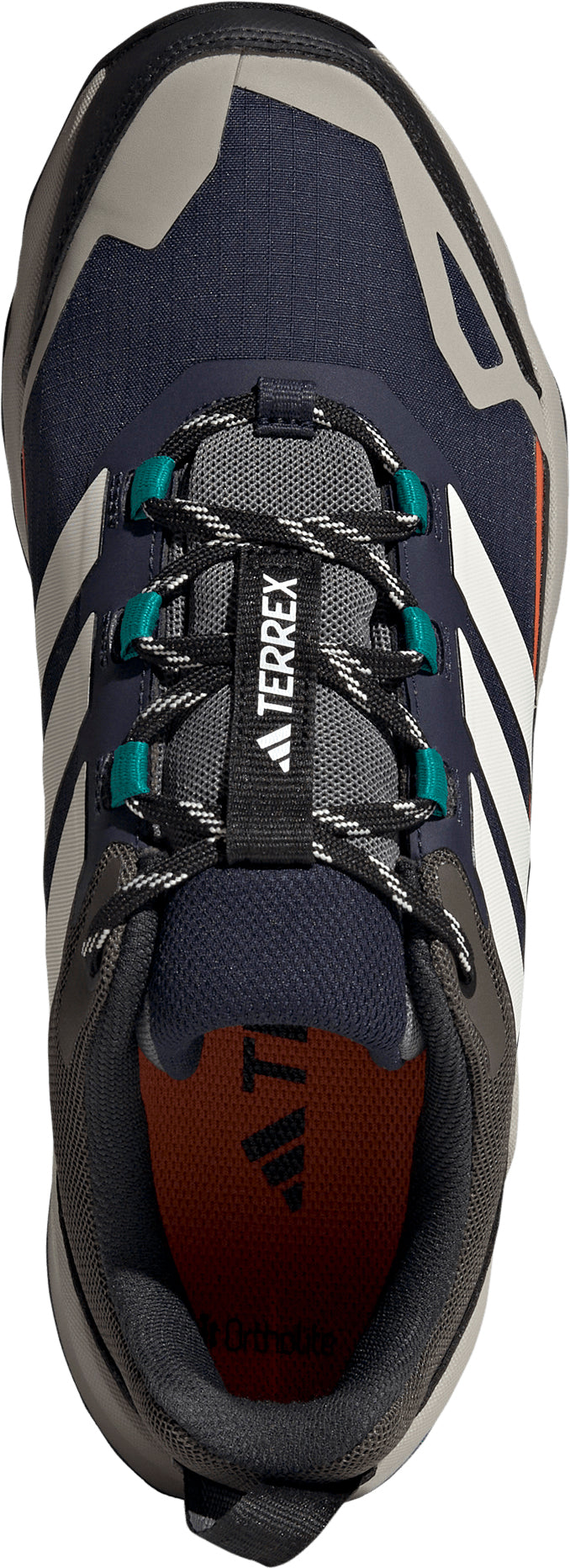 adidas Terrex Skychaser AX5 GORE-TEX Men's Walking Shoes - Blue